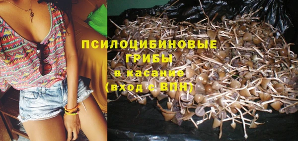 первитин Козельск